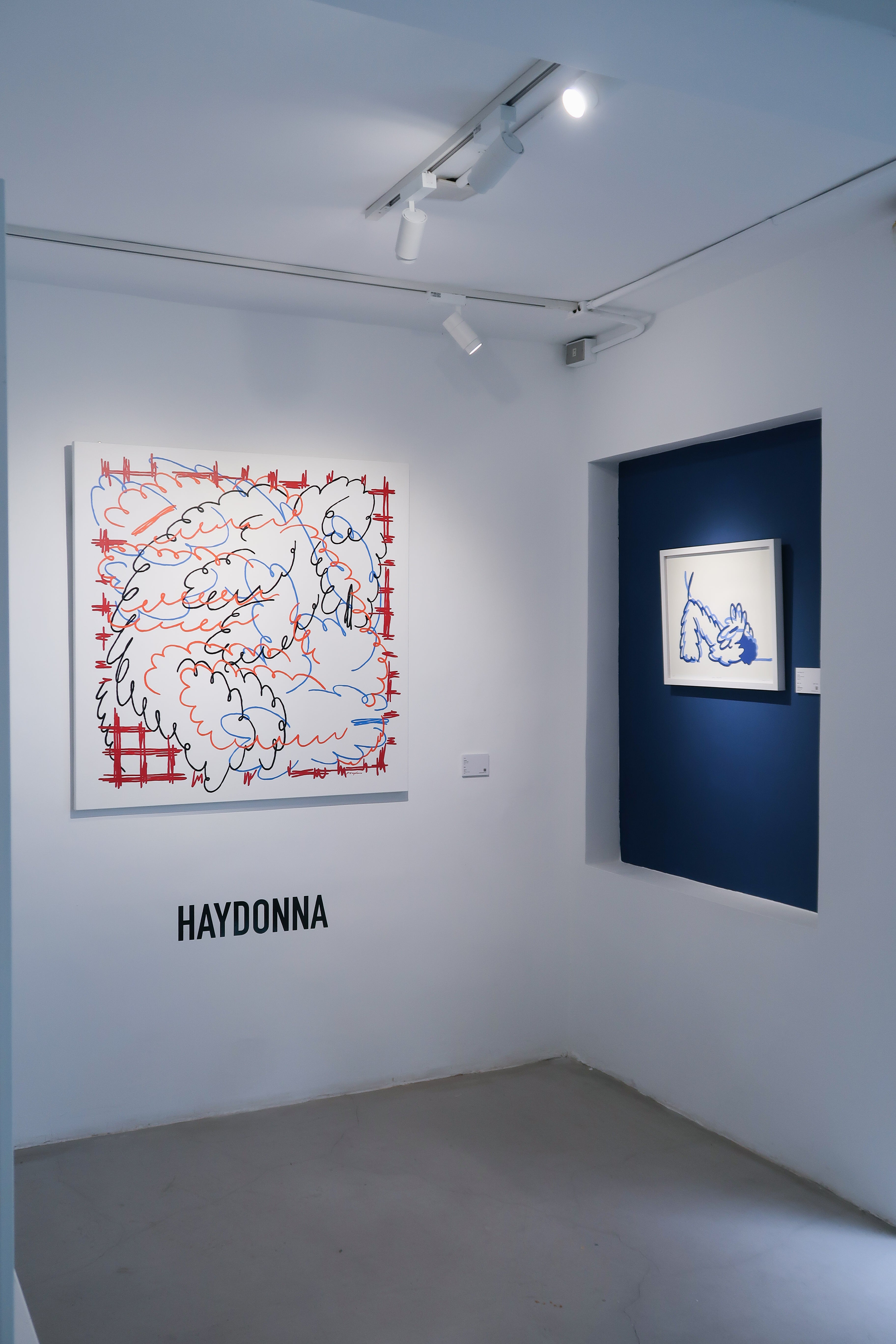 Haydonna
