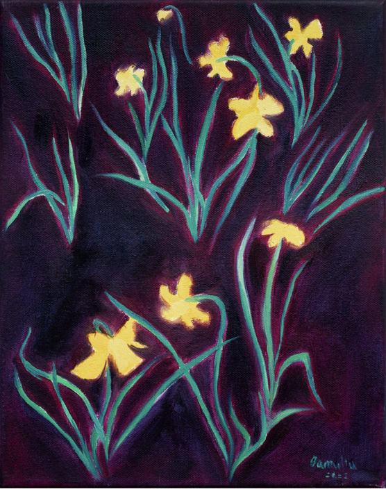 Oamul 鹵貓|Narcissus at Night 夜裡的水仙