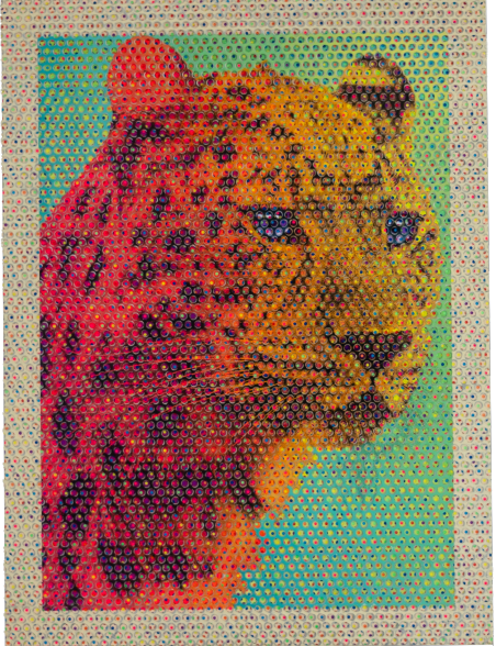 Yu Uchida 內田有|Leopard