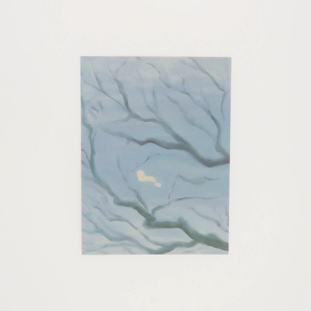 鹵貓 Oamul ｜ 明信片 Postcards