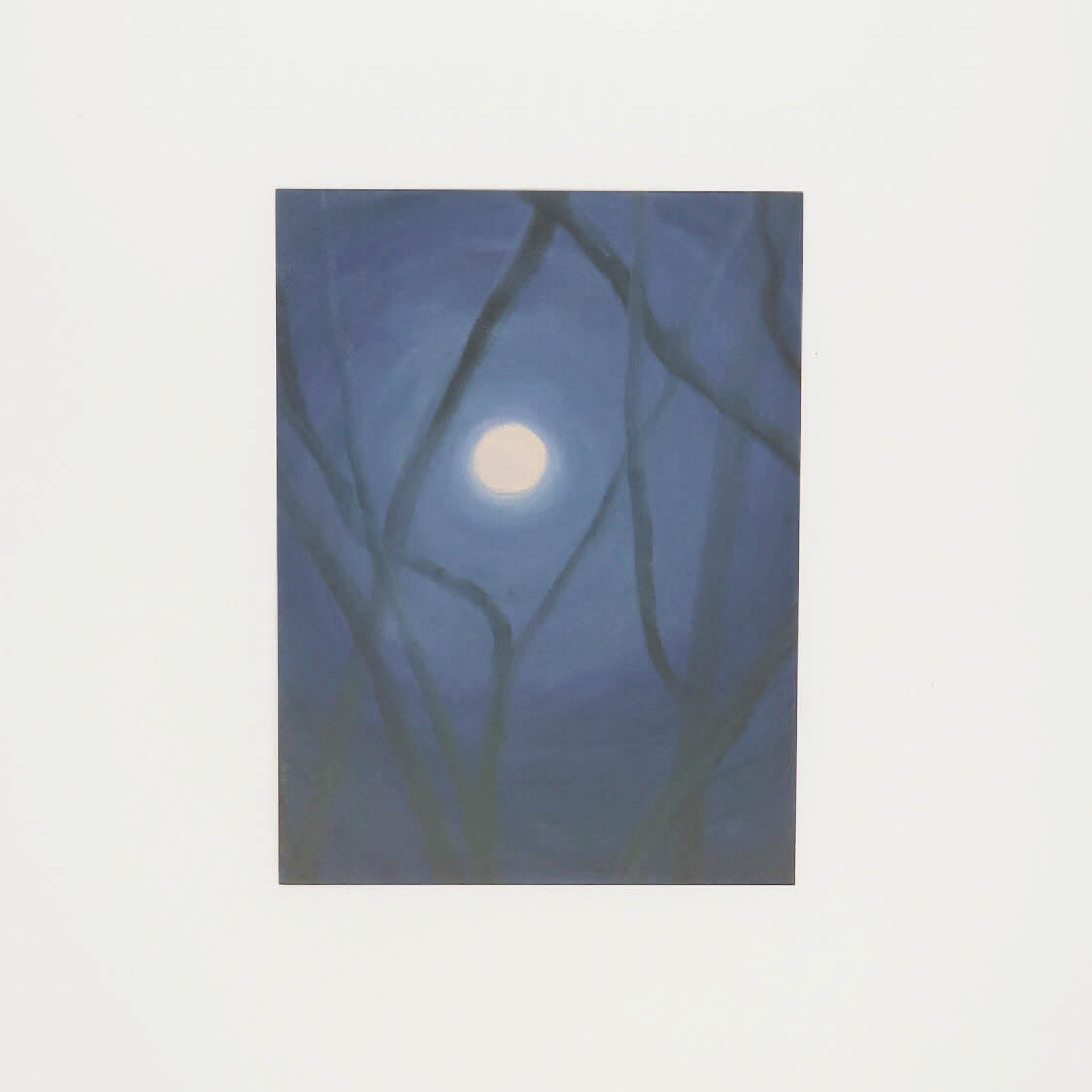 鹵貓 Oamul ｜ 明信片 Postcards