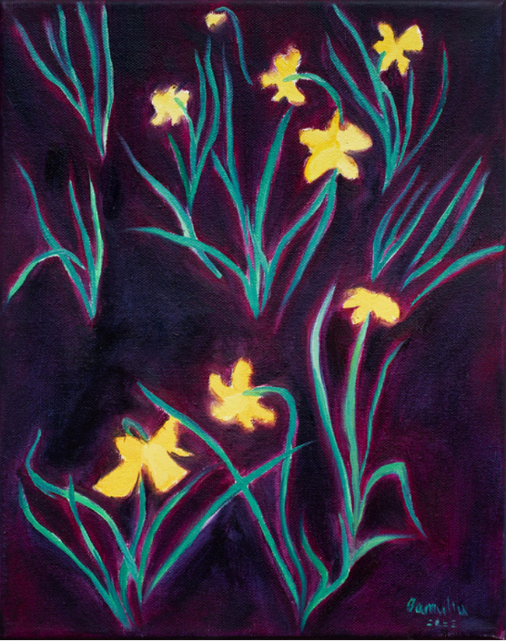 Oamul 鹵貓｜Narcissus at Night 夜裡的水仙