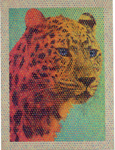 Yu Uchida 內田有｜Leopard