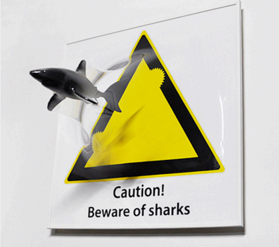Yuki Matsueda 松枝悠希｜「Beware of Sharks」