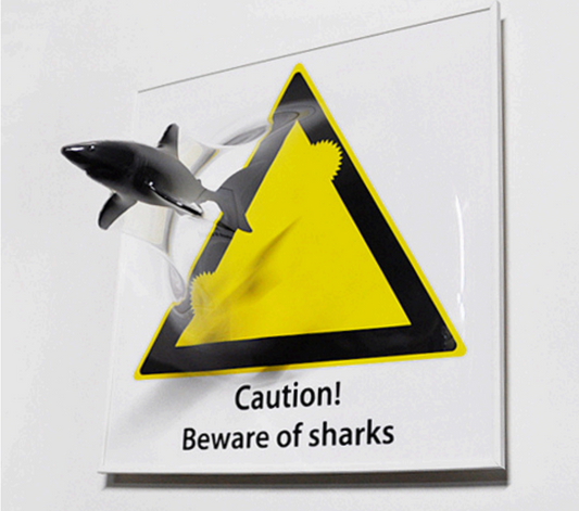 Yuki Matsueda 松枝悠希｜「Beware of Sharks」