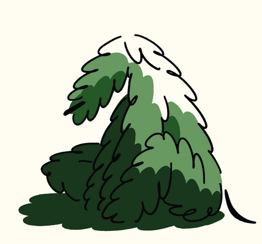 HAYDONNA｜Mountain｜原作