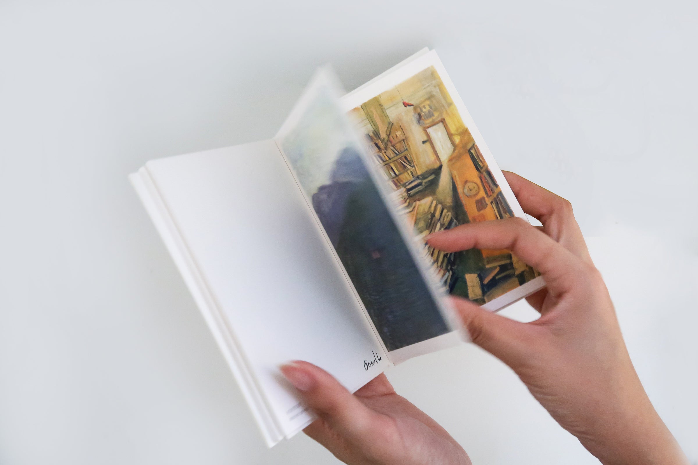 【鹵貓】『漫步』明信片集（內含21張）